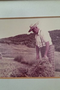 Mehmet Muhlis Fırat 