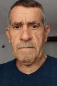 Beşîr Ant