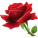 Ali İhsan Dost