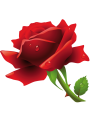 Ali İhsan Dost