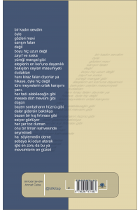 Bir Kadın Sevdim