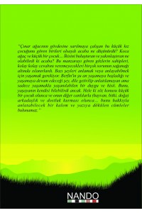 Çınar Ağacı