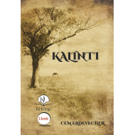 Kalıntı