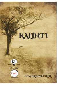 Kalıntı