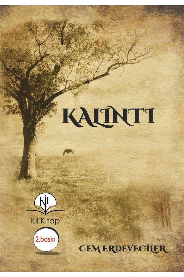 Kalıntı