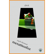 Metamorfoz