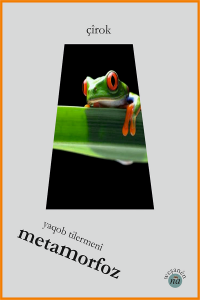 Metamorfoz